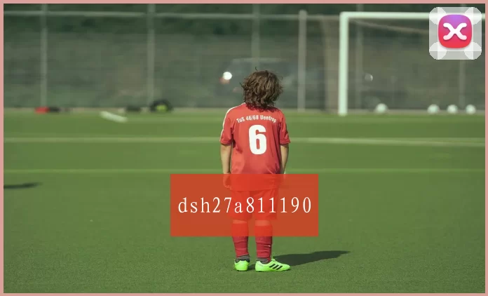 dsh27a811190