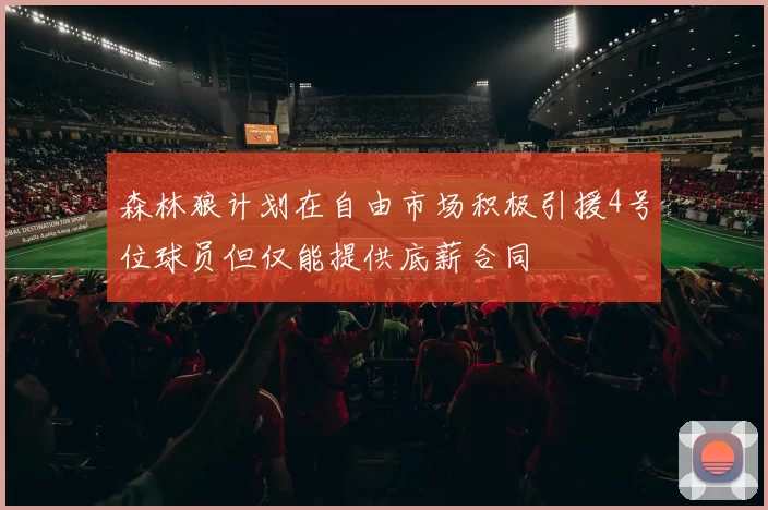 森林狼计划在自由市场积极引援4号位球员但仅能提供底薪合同