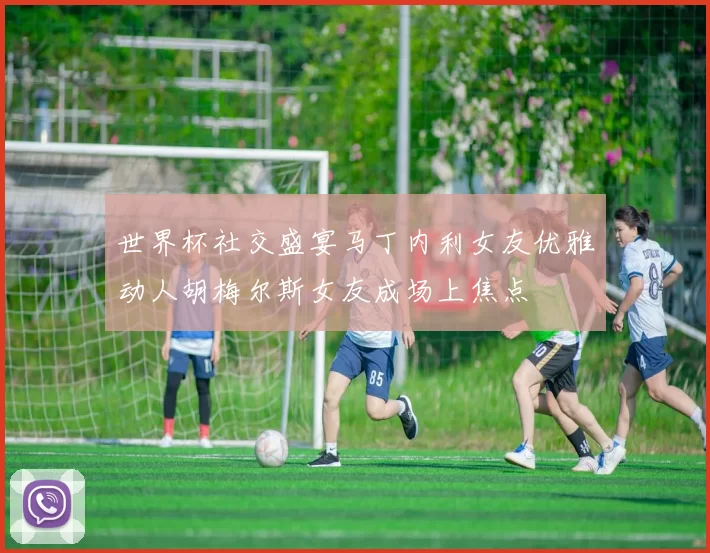 世界杯社交盛宴马丁内利女友优雅动人胡梅尔斯女友成场上焦点